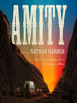 Amity - Audiobook